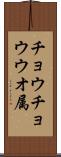 チョウチョウウオ属 Scroll