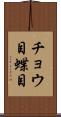 チョウ目 Scroll
