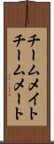 チームメイト Scroll