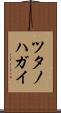 ツタノハガイ Scroll