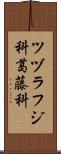ツヅラフジ科 Scroll