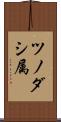 ツノダシ属 Scroll