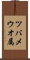 ツバメウオ属 Scroll