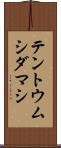 テントウムシダマシ Scroll