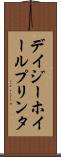 デイジーホイール・プリンタ Scroll