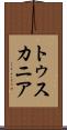 トゥスカニア Scroll