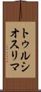 トゥルシオスリマ Scroll