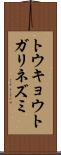 トウキョウトガリネズミ Scroll