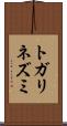 トガリネズミ Scroll