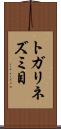 トガリネズミ目 Scroll