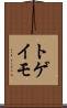 トゲイモ Scroll