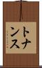 トナンス Scroll