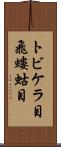 トビケラ目 Scroll