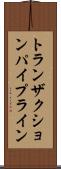 トランザクションパイプライン Scroll