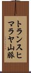 トランスヒマラヤ山脈 Scroll
