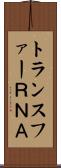 トランスファーＲＮＡ Scroll
