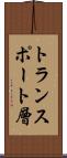 トランスポート層 Scroll
