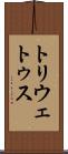 トリウェトゥス Scroll
