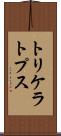 トリケラトプス Scroll