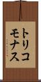 トリコモナス Scroll