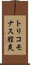 トリコモナス膣炎 Scroll