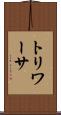 トリワーサ Scroll