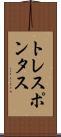 トレスポンタス Scroll