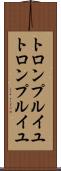 トロンプルイユ Scroll