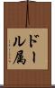 ドール属 Scroll