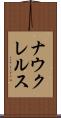 ナウクレルス Scroll
