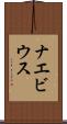 ナエビウス Scroll