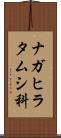 ナガヒラタムシ科 Scroll