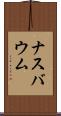ナスバウム Scroll