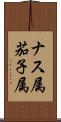 ナス属 Scroll