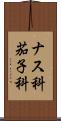 ナス科 Scroll