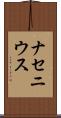 ナセニウス Scroll