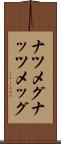 ナツメグ Scroll
