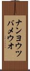 ナンヨウツバメウオ Scroll