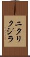 ニタリクジラ Scroll