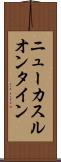 ニューカスルオンタイン Scroll