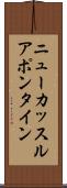 ニューカッスルアポンタイン Scroll