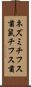 ネズミチフス菌 Scroll