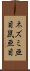 ネズミ亜目 Scroll