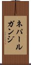 ネパールガンジ Scroll