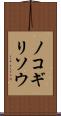 ノコギリソウ Scroll