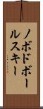 ノボドボールスキー Scroll