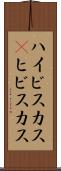 ハイビスカス(P) Scroll