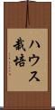 ハウス栽培 Scroll