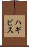 ハギビス Scroll