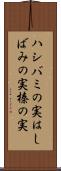 ハシバミの実 Scroll